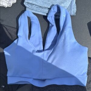 Whitney Simmons Blue Sports Bra